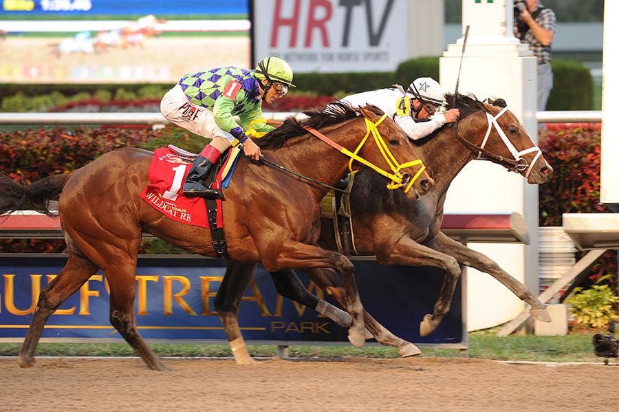 FLORIDA DERBY COM florida derby com: